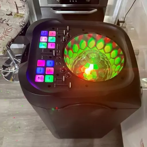 اسپیکر حرفه ای مایر مدل 5566 قیمت و خرید اسپیکر حرفهای مایر مدل 5566